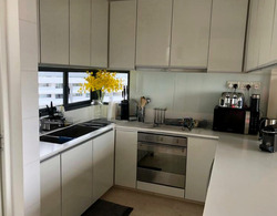 The Trizon (D10), Condominium #529918231